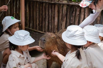 BẢNG GIÁ TOUR DU LỊCH HỌC SINH – KHÁCH ĐOÀN 2026