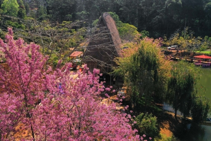 Du Lịch Măng Đen - KonTum - Pleiku 3 Ngày 2 Đêm