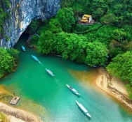 Tour Động Phong Nha 1 Ngày