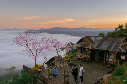 Tour Đà Lạt 3 ngày 2 đêm full lịch trình