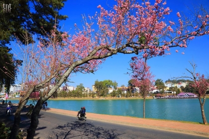 Tour Đà Lạt 5 ngày 4 đêm