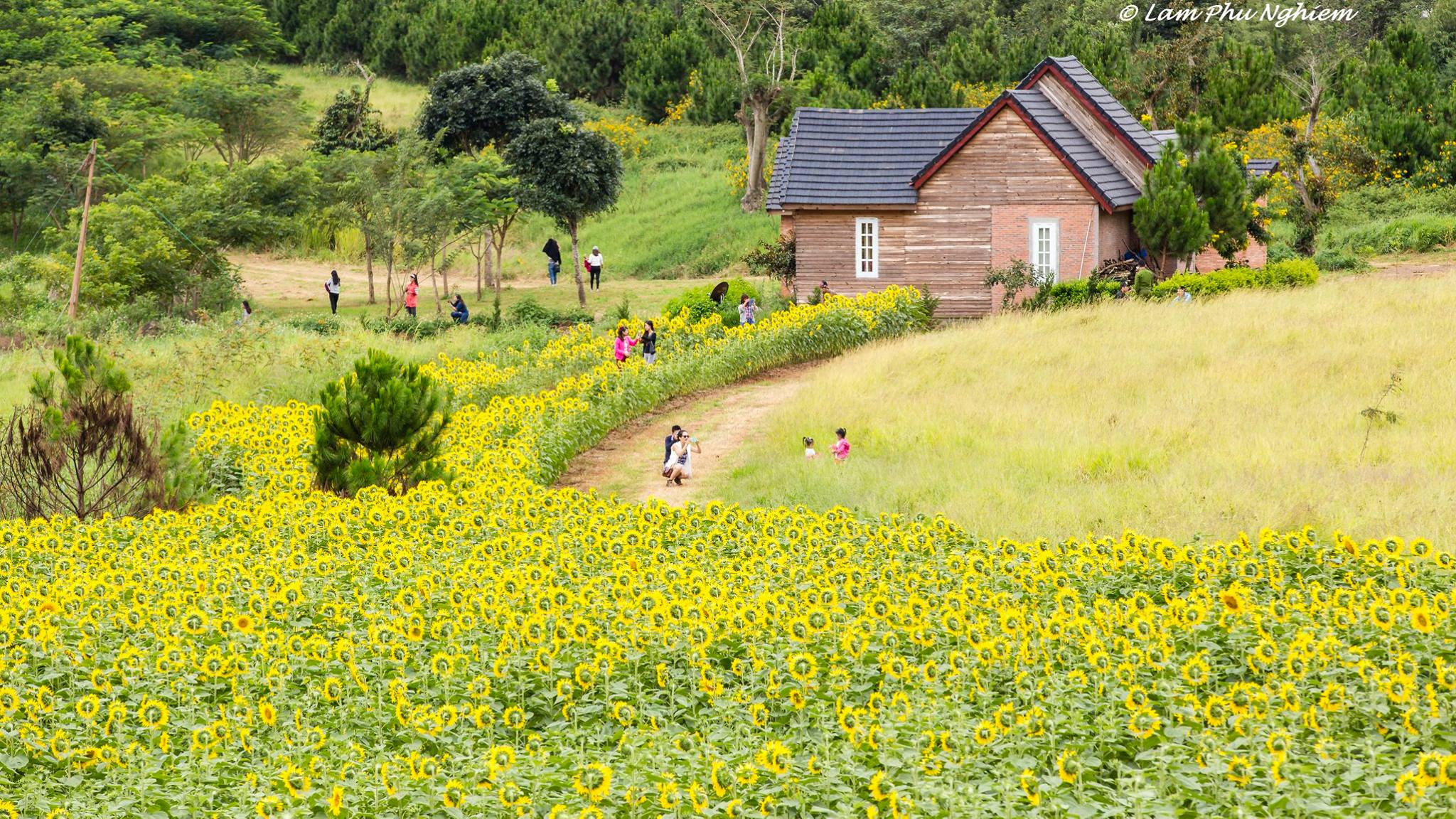 Tour Đà Lạt – Cánh Đồng Hoa 4 ngày 3 đêm